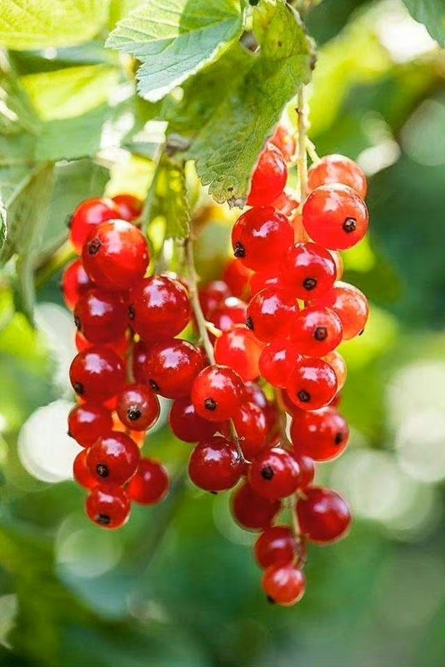 女人一旦这样称呼你说明认定你了,女人这么称呼你说明是看上你了