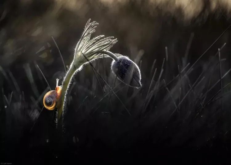 黑色背景拍出了真的好高级感,纯色背景怎么拍出来高级感