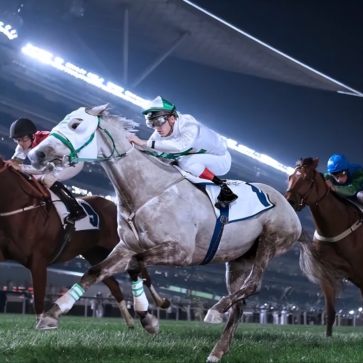 迪拜公主萨拉玛是第几位公主,迪拜公主萨拉玛真实生活视频