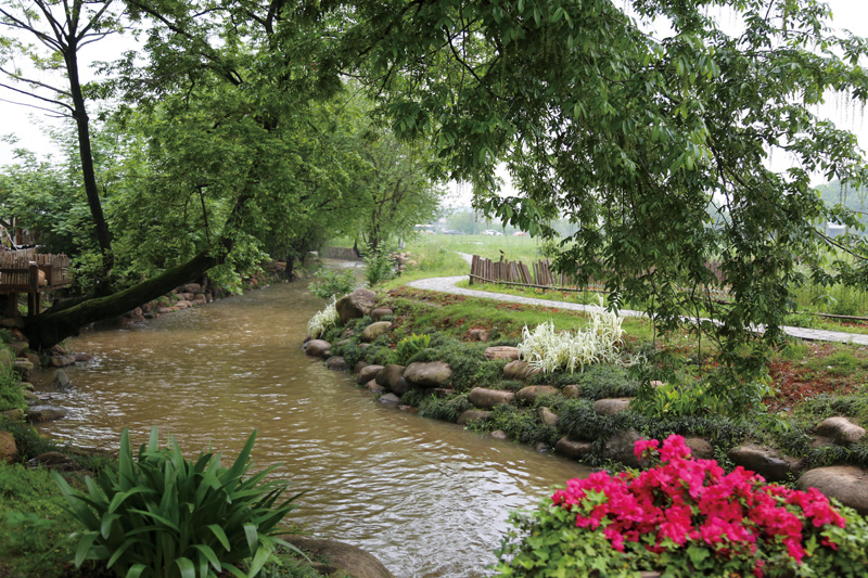 衢州莲花乡村未来国际社区,衢州莲花现代农业园