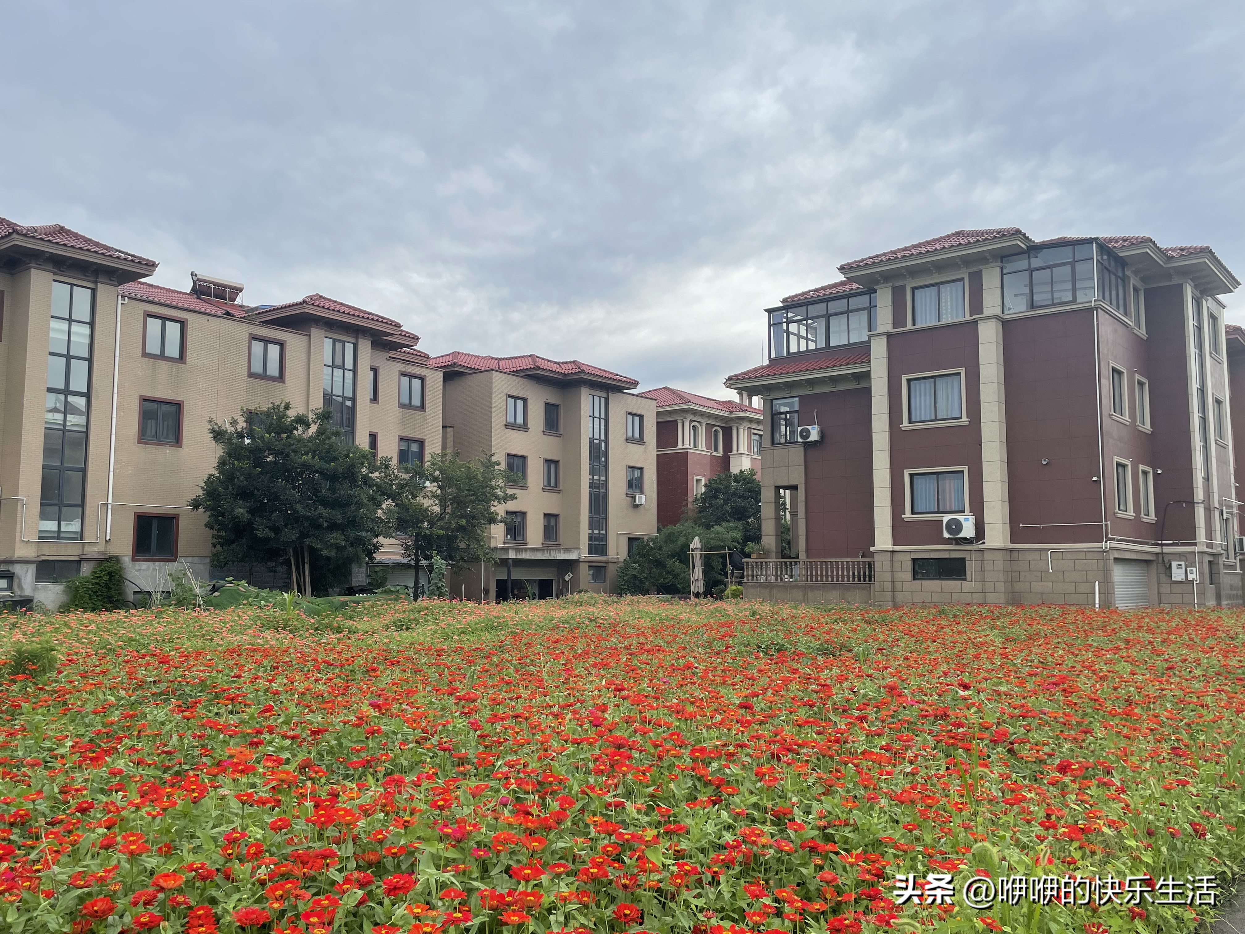 浙江农村土著是怎么挣钱盖大别野的