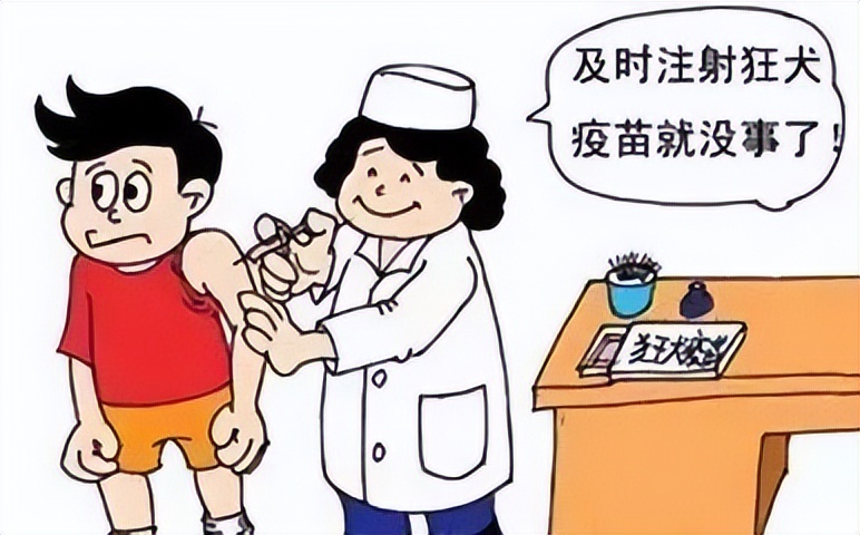 被小动物咬伤你会怎么做,被小动物咬伤怎么办呢