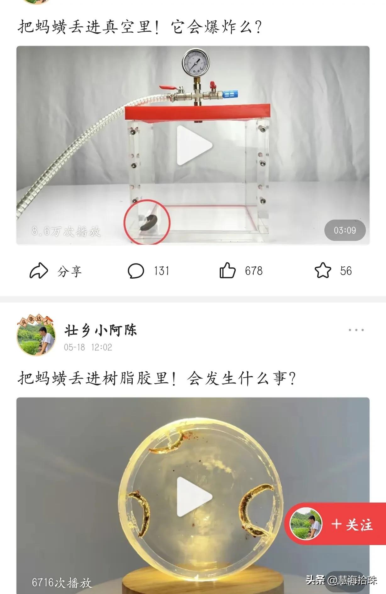 为什么有些人喜欢杀动物,为什么有人会虐猫或虐狗
