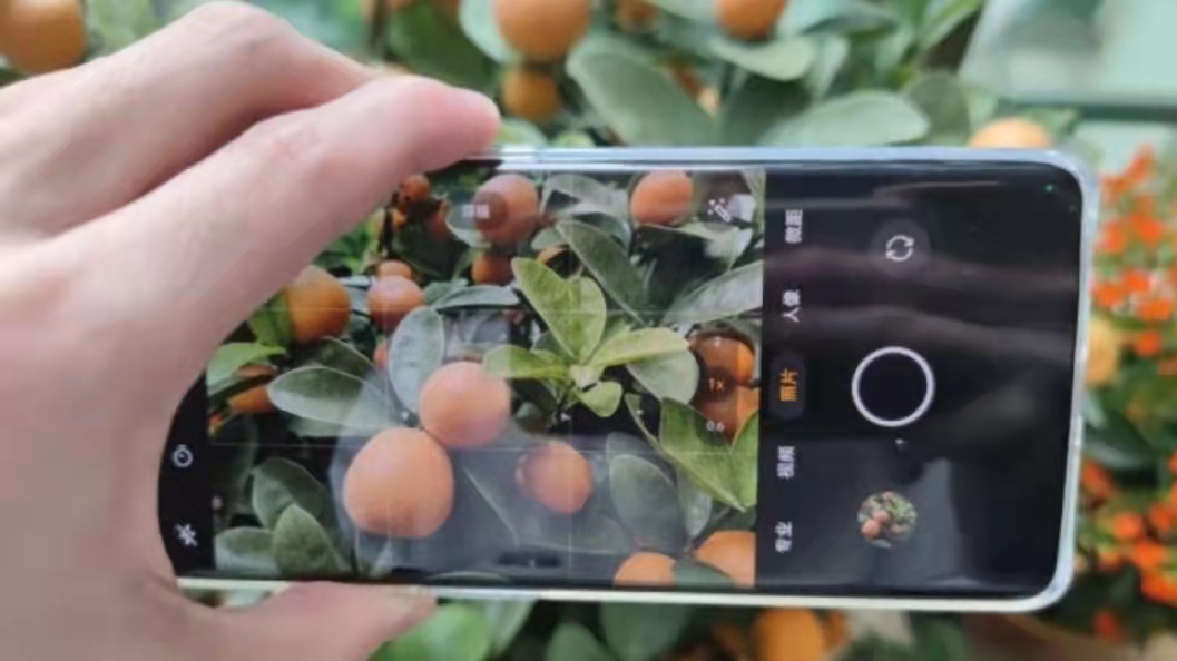 一加ace2和红米k60,一加ace2和红米k60深度测试