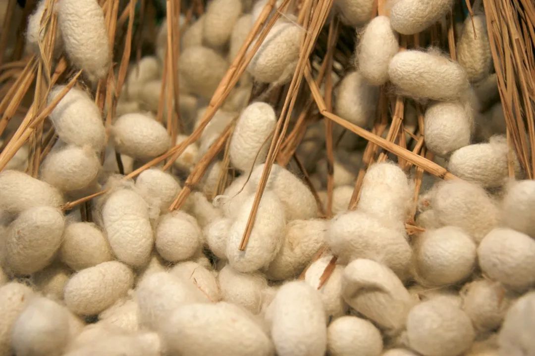 10条长江主题国家级旅游线路,长江沿线著名旅游景点有哪些