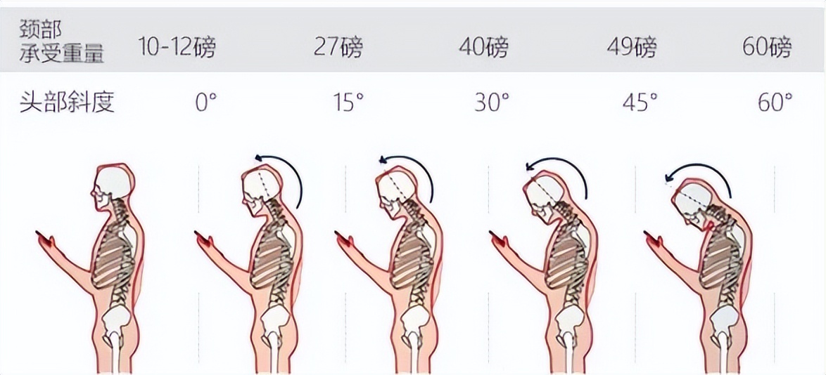 邓禄普乳胶枕前十名排行榜,乳胶枕十大名牌