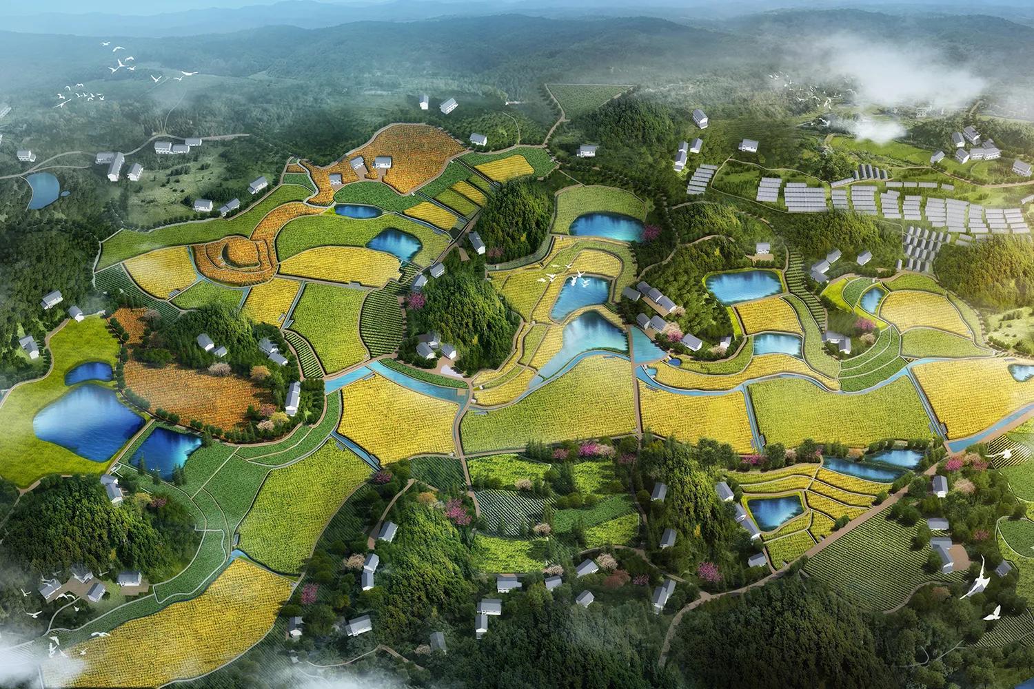 农业专家谭正平︱央国企投资农业的黄金期与切入点