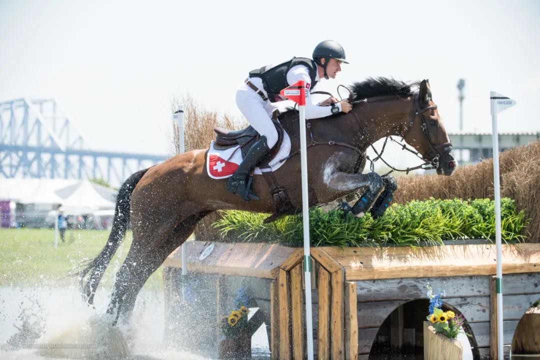 为何马只要断了一条腿，就很难活下来？人类可不可以给马装假肢？