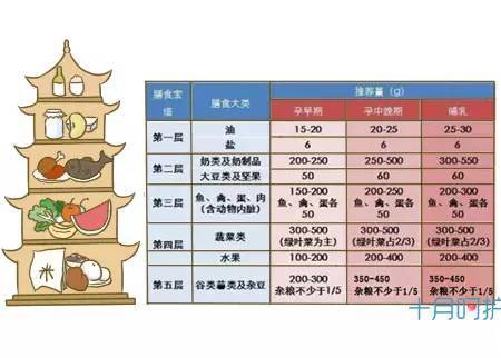 史上最全的孕期禁忌知识,孕期必做5件事