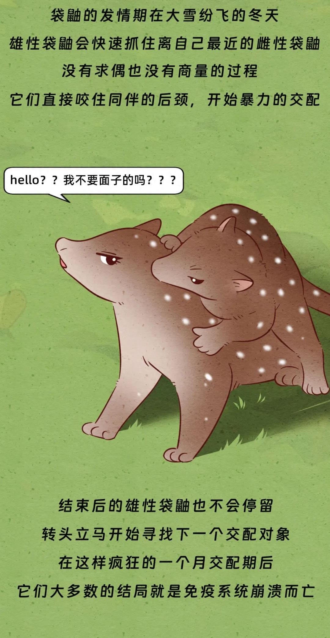 动物交配行为鉴赏，真的触碰到了我的知识盲区（漫画）