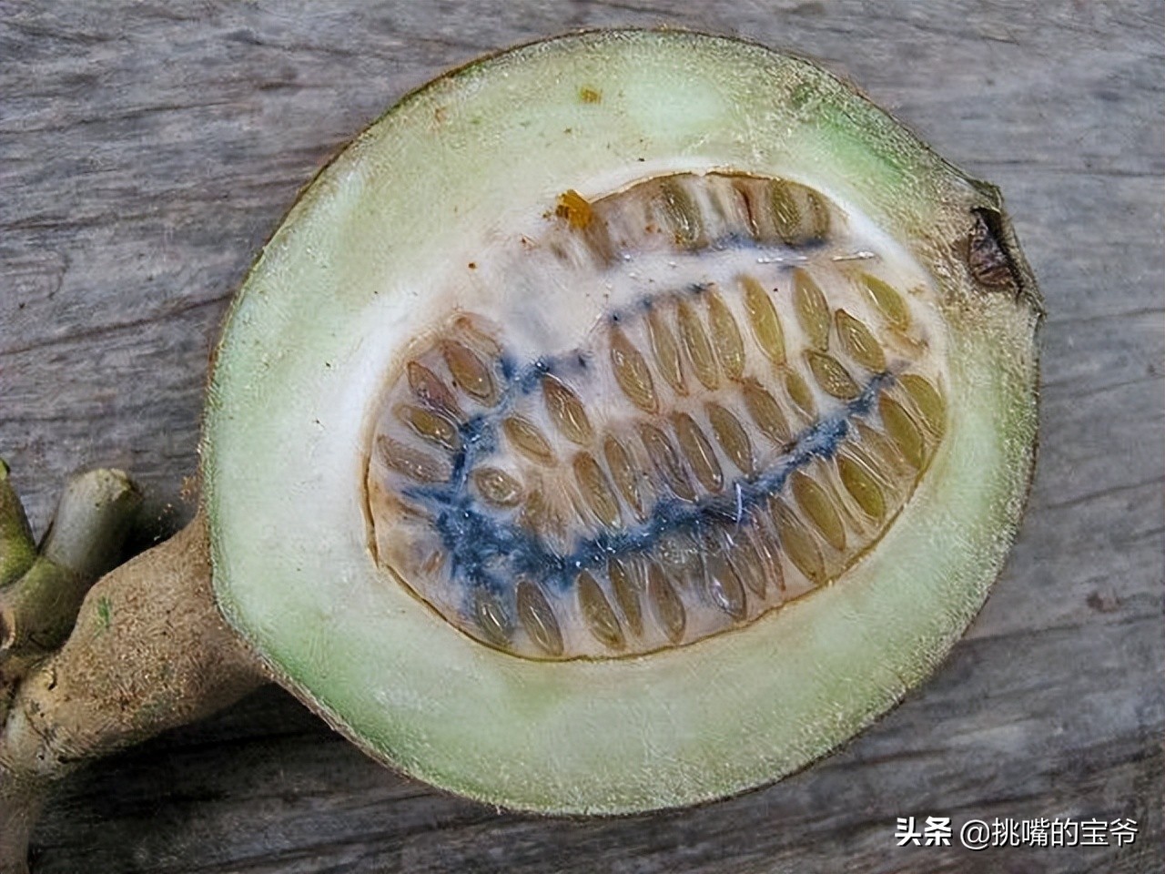 国土面积小于三万的国家,国土面积不足的省