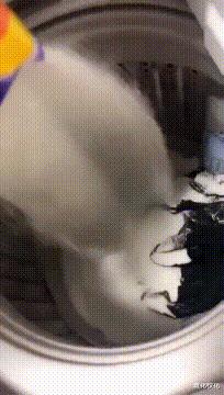 每日一笑闺蜜交了新男朋友,每日一笑之闺蜜交了新男朋友