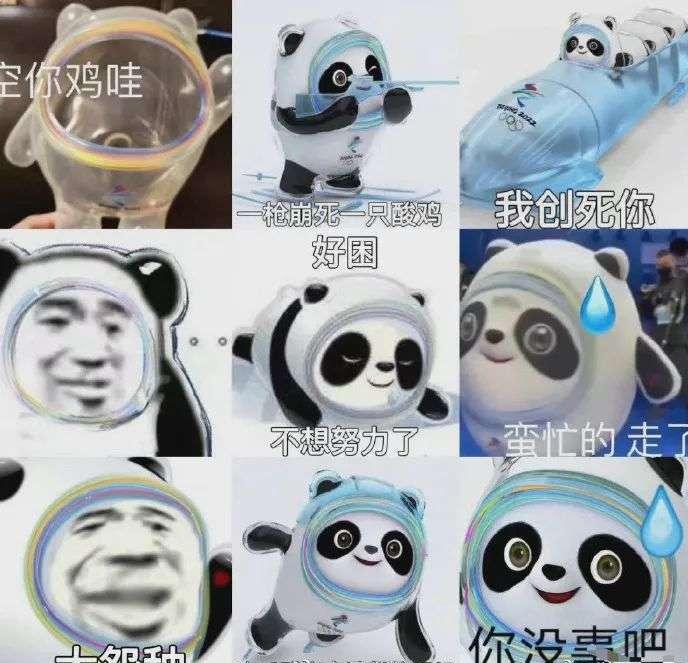 顶流冰墩墩遭人工拆除,顶流冰墩墩万众追捧