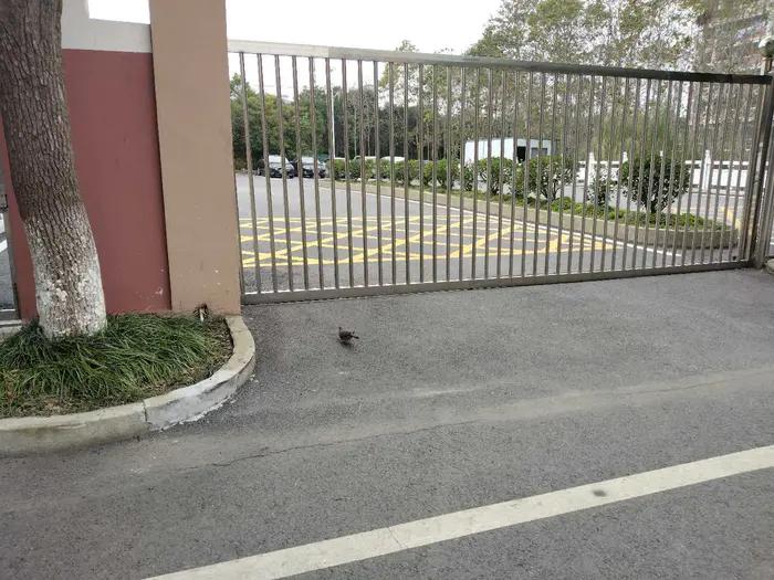 画与景,幼儿长卷画景