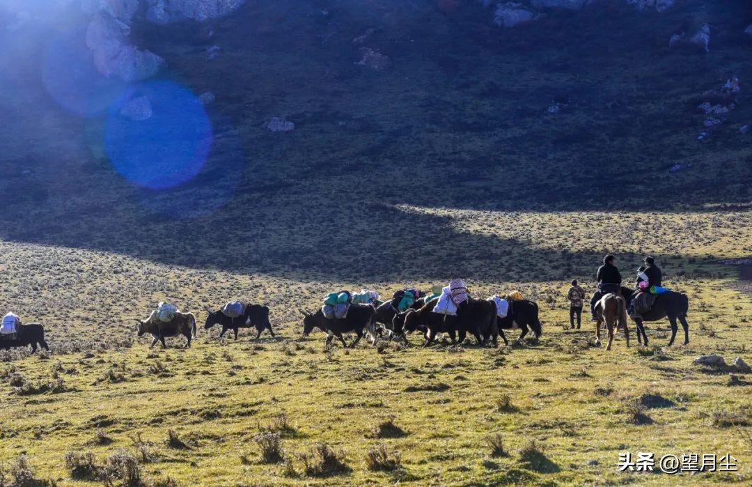 扎尕那甘南秘境人间伊甸园,扎尕那上帝遗落人间的伊甸园
