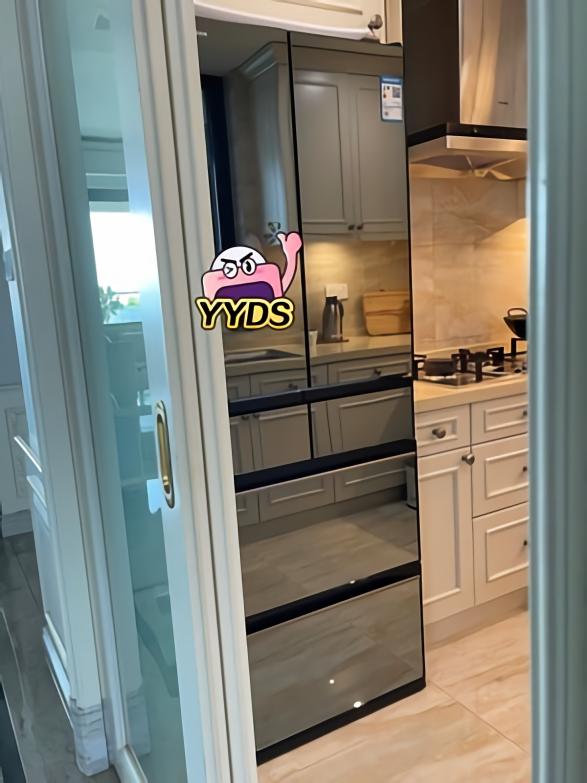 日立冰箱和容声冰箱哪个好,日立冰箱和利勃海尔冰箱哪个好