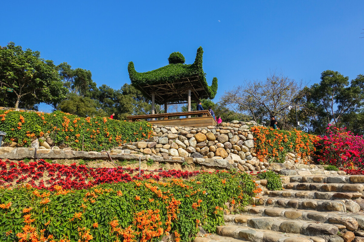 厦门旅游攻略必去的十个地方,厦门旅游攻略几个不错的地方必去
