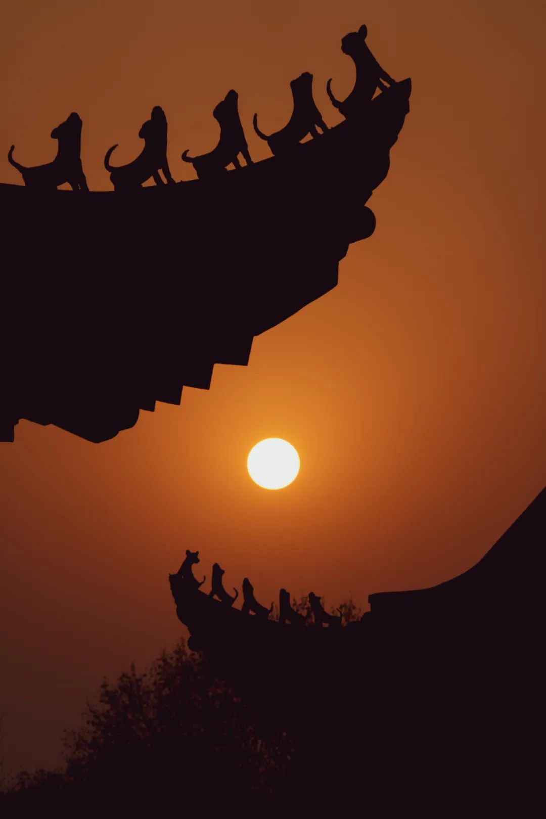 逆光背影如何拍摄好看,逆光剪影拍摄技巧