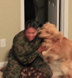 狗狗有分离焦虑症要再养一只吗,狗狗分离焦虑主人出门就要叫