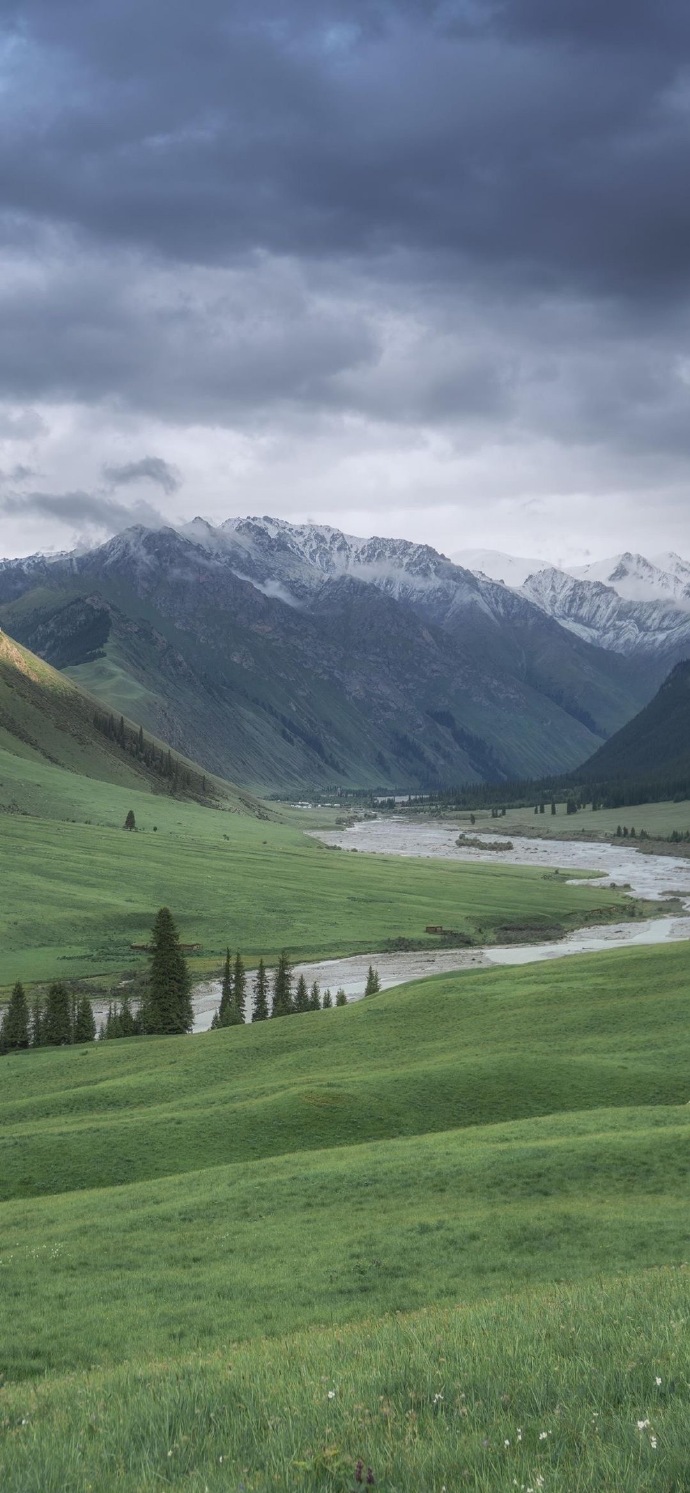 怎么会不喜欢綠色壁纸呢