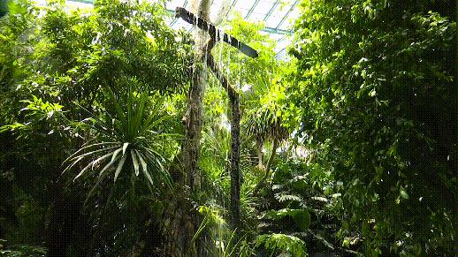 植被覆盖率中国,昆明植被覆盖率有多少