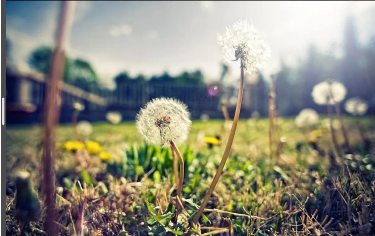 未成年可以投稿的公众号,青少年公众号投稿