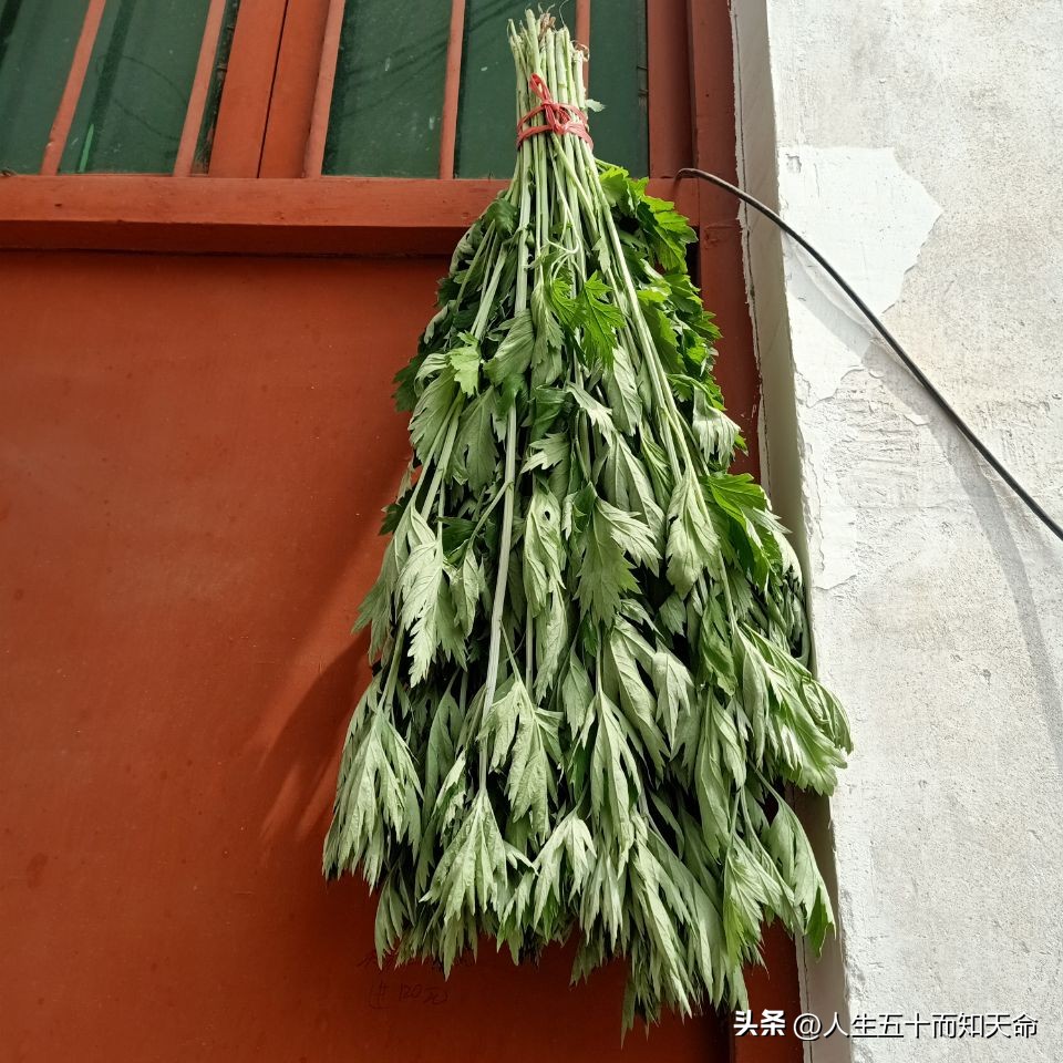 端午节祭祀屈原的来源,端午节的来源和屈原的视频