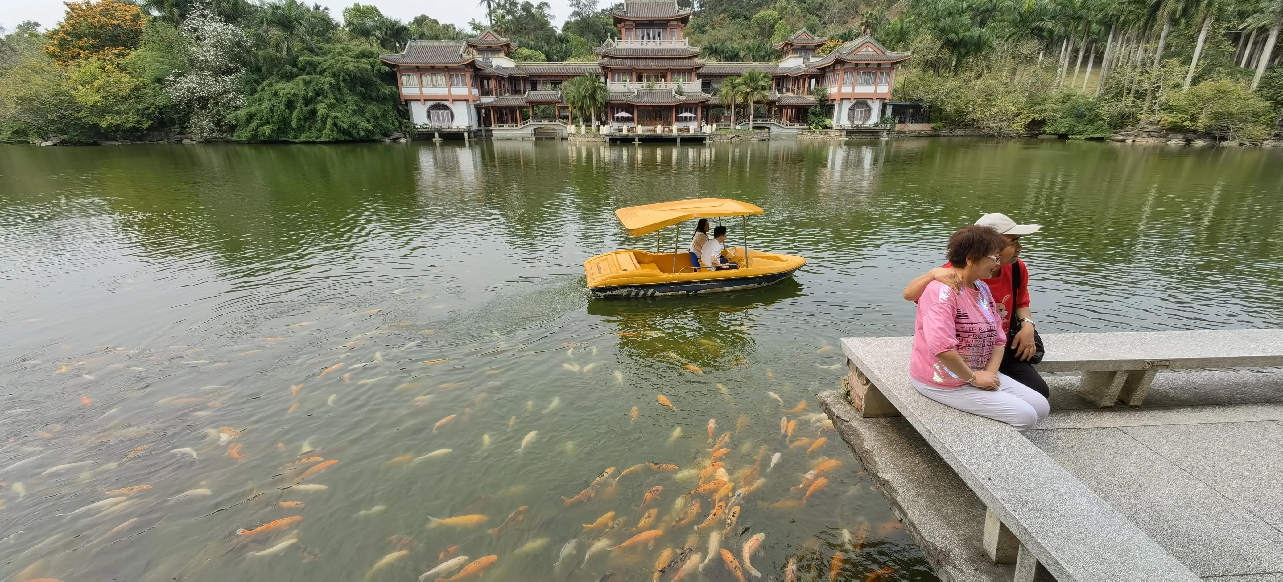 旅行日记记录一家人美好生活,旅行日记85天