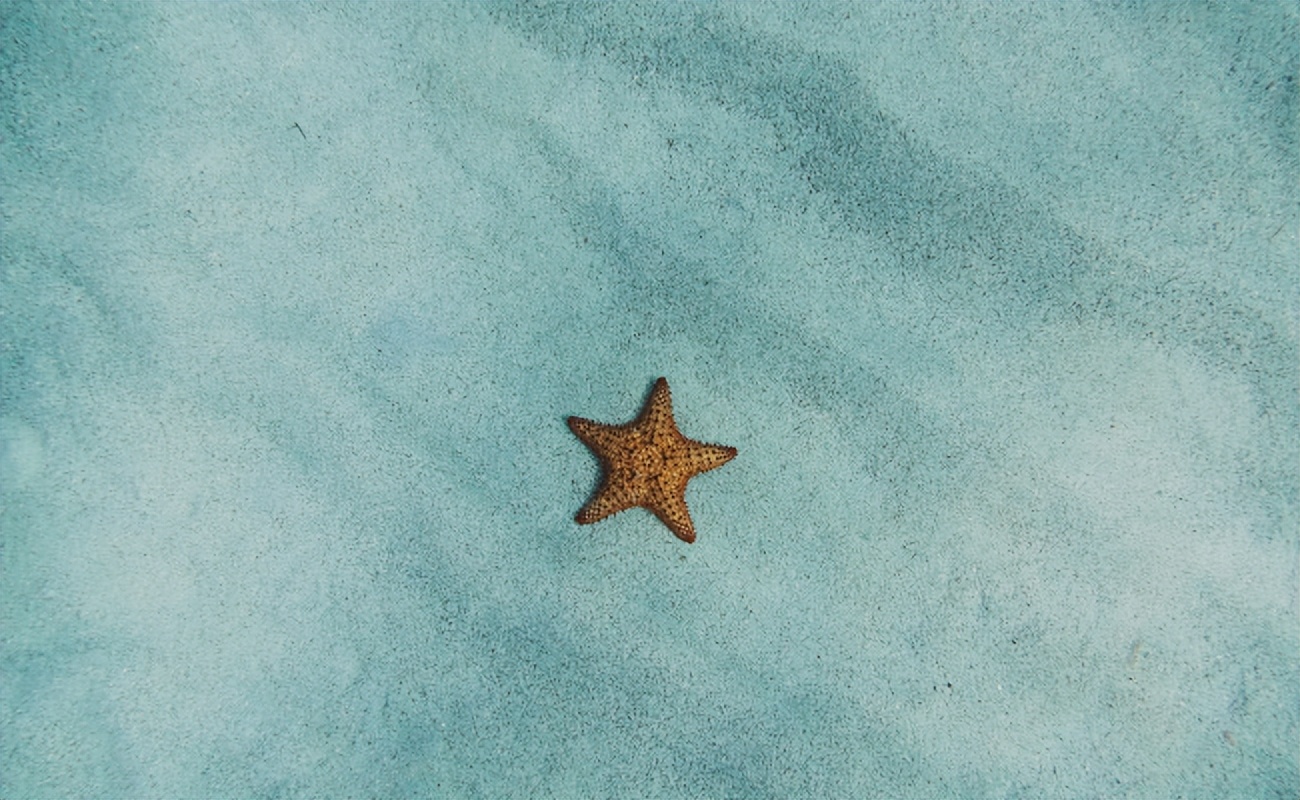 文献检索实用教程题库及答案,文献检索内部教程