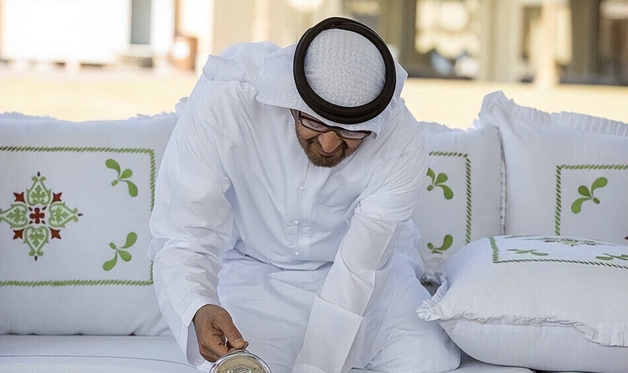 海湾“正主”：阿联酋新总统扎耶德，中东乱局的幕后大佬