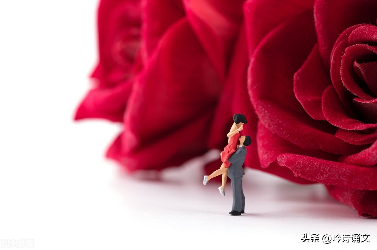 没有情人的情人节情话最暖心短句,情人节短信最温馨甜蜜的话