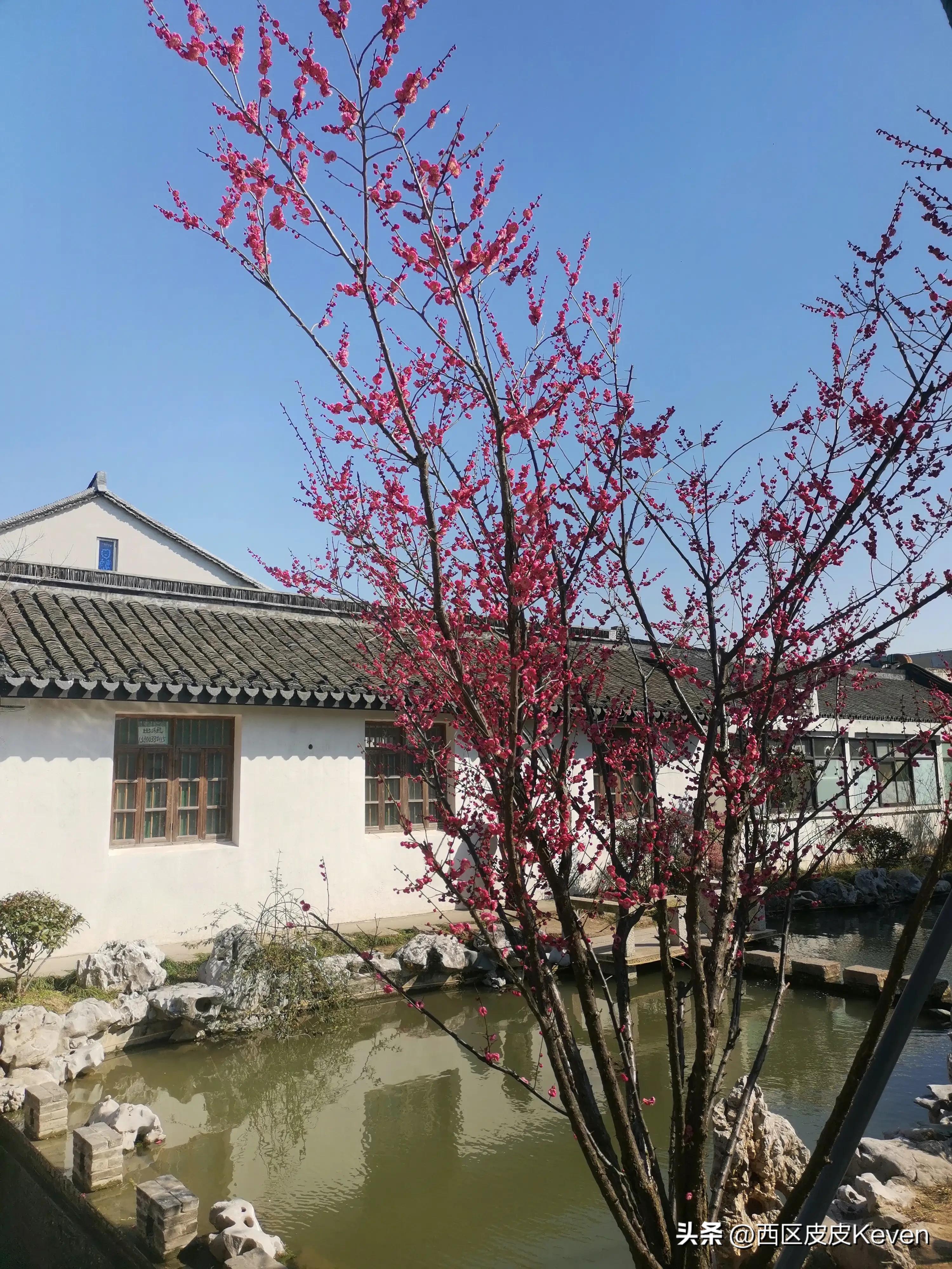 上海市奉贤区青溪老街好玩吗,上海奉贤的青溪古镇