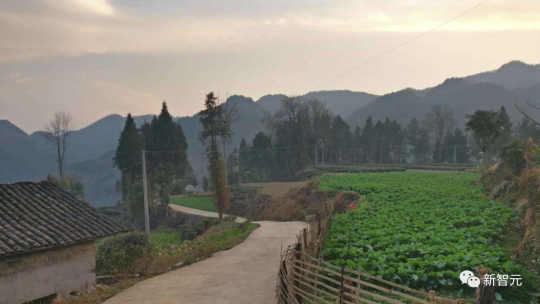 初代95后,「闯」进大厂搞技术