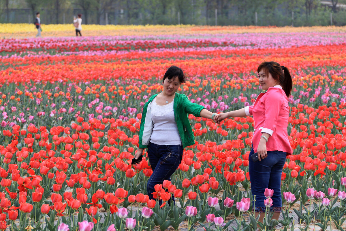 吴承恩在嵖岈山写过西游记,吴承恩在嵖岈山写西游记了么