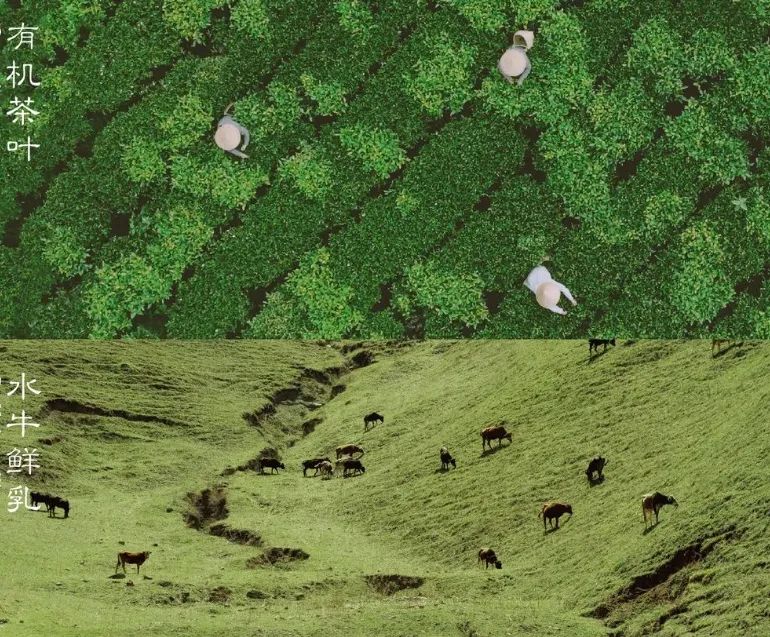 魔性颠覆、超级科技流、小众出奇，2022新兴品牌TOP100逆生长密码