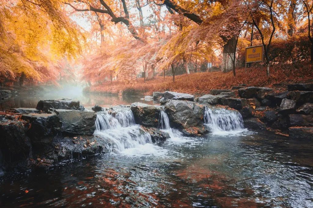 几月出生水旺,你几月出生就代表你是什么