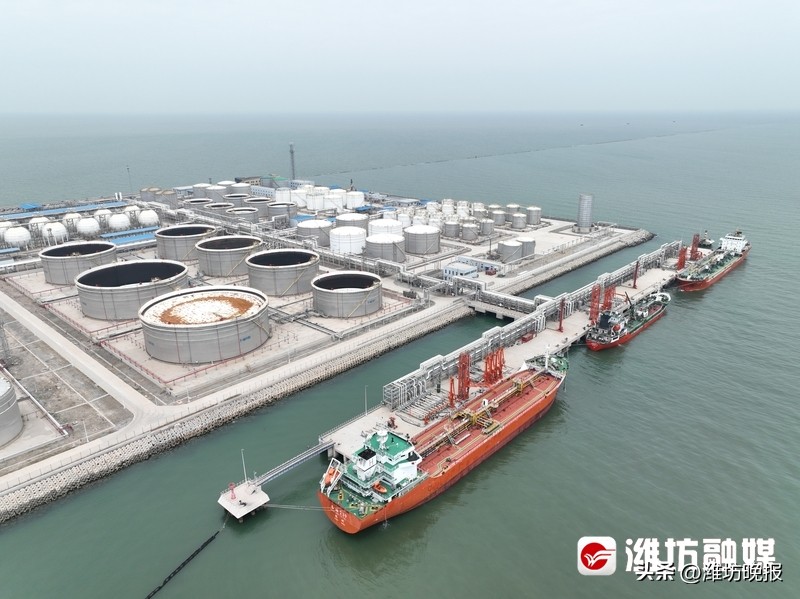 潍坊山东成绩,山东港口集团年度业绩