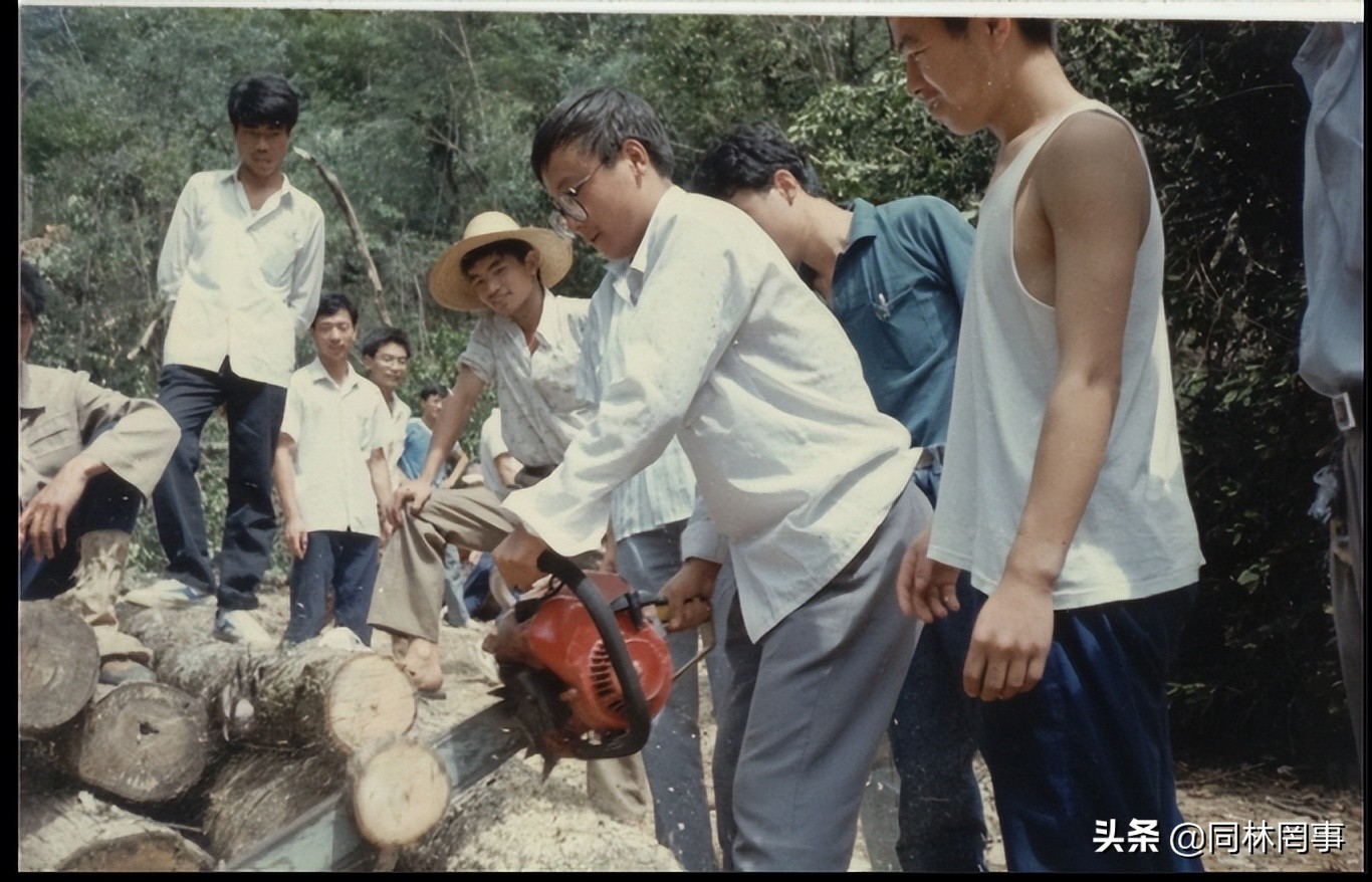 70后眼中的大学146之福建农林大学——农+林,1+1大于了2