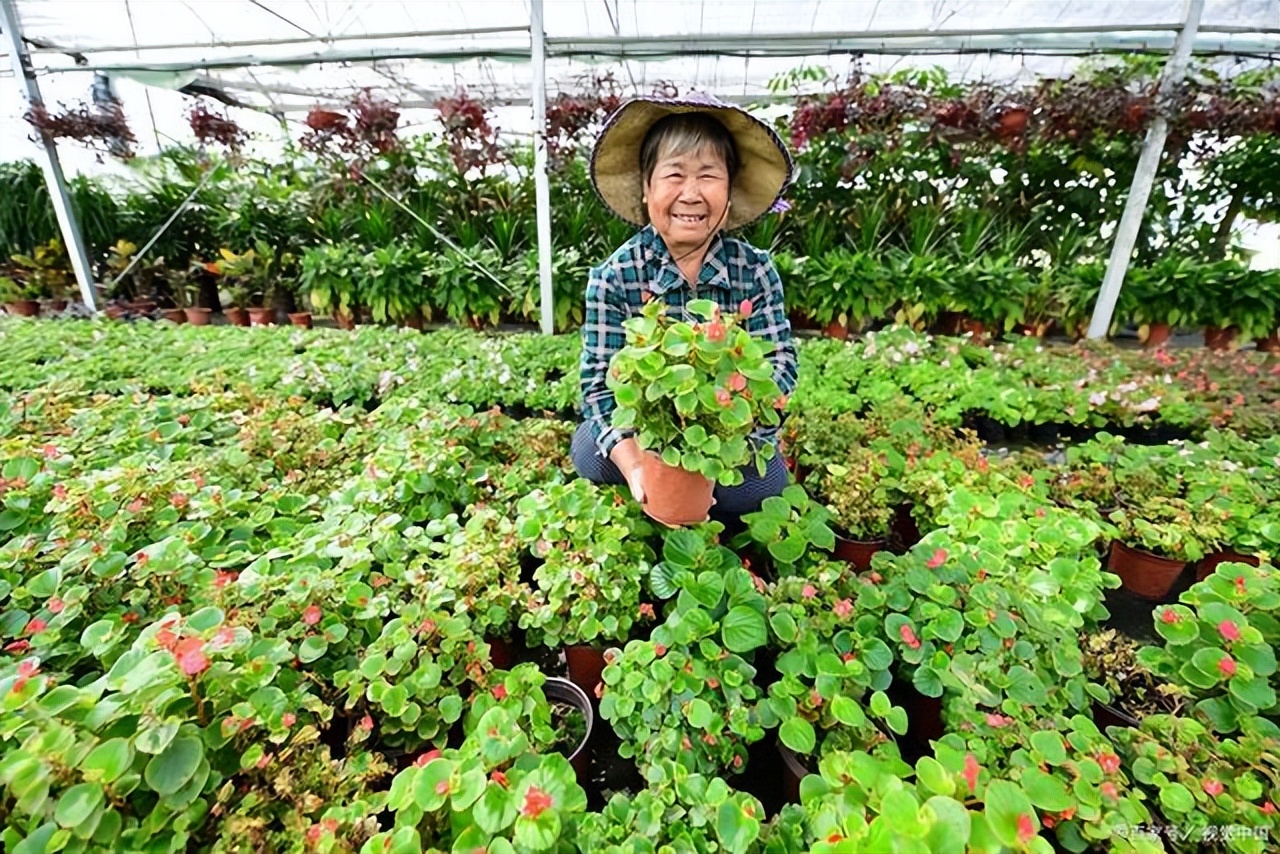 为什么农民做什么也没有挣到钱,为什么农民最辛苦却挣不到钱