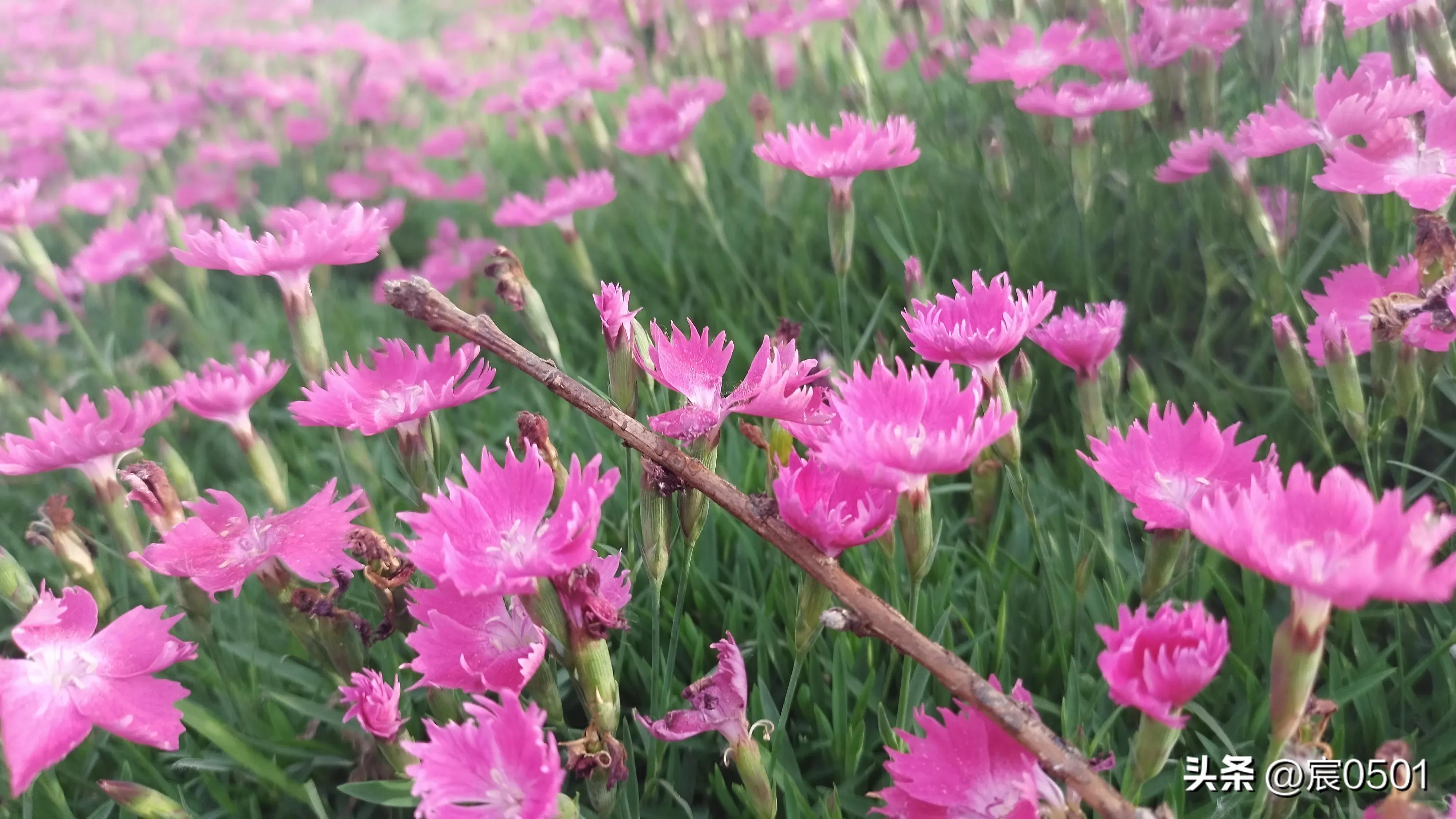 他月挣3600，给儿子还房贷2400，儿媳：孩子上兴趣班每月1200