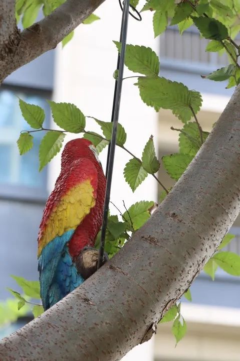 路劲物业,常州路劲物业电话是多少