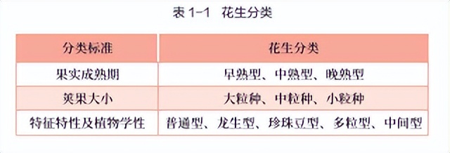 花生期货新手入门,花生期货2210