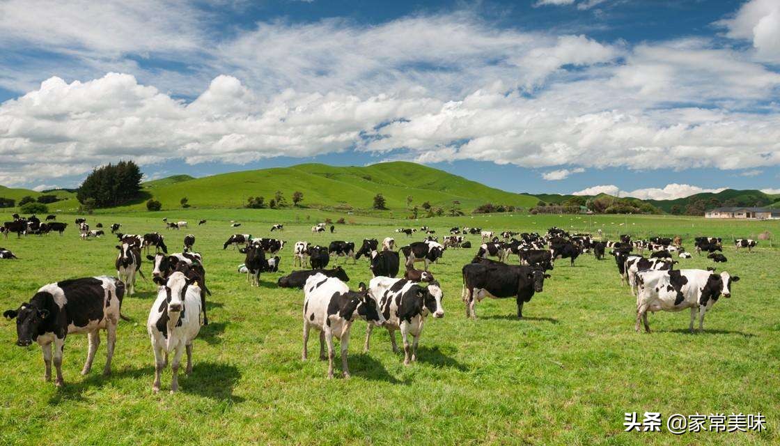 买奶粉全脂更好还是脱脂更好,买奶粉不要贪图正品