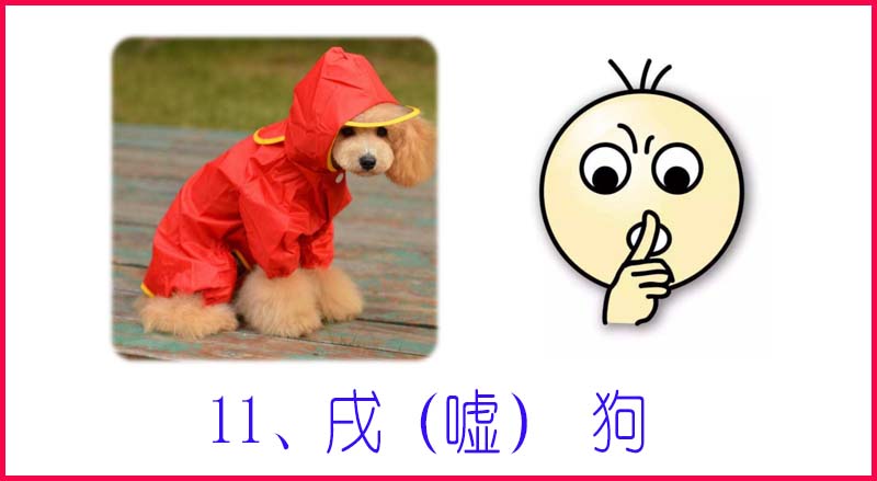 十天干十二地支十二生肖图片,地支与十二生肖搭配表图