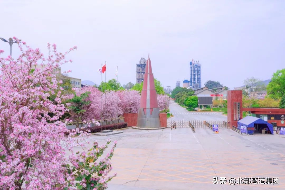 绿色工厂和绿色产品,绿色工厂需要的四个报告