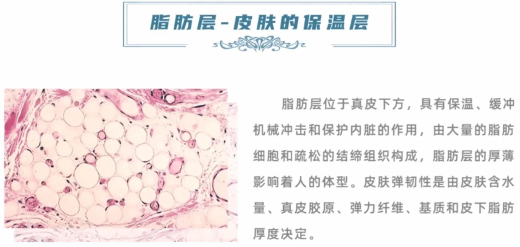 你真的认识你的皮肤吗,你了解你的皮肤吗