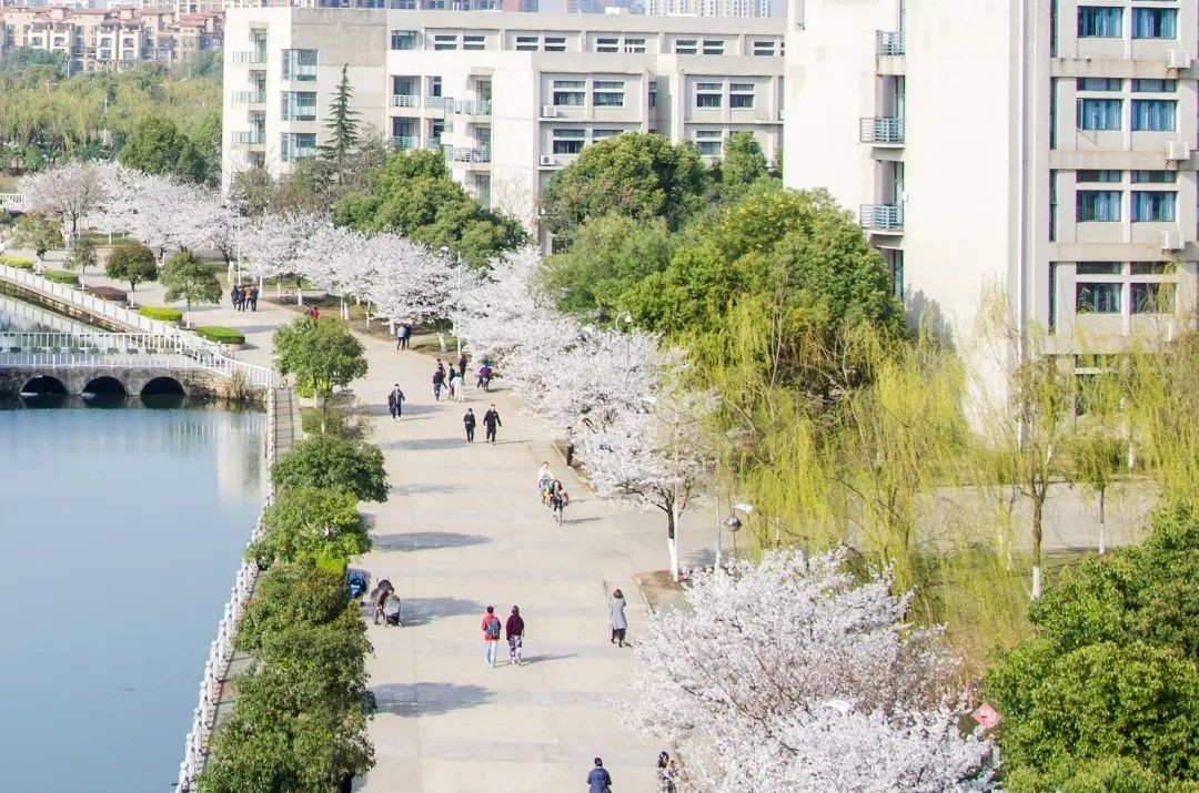 湖北经济学院顶尖专业,湖北经济学院在全国的排名