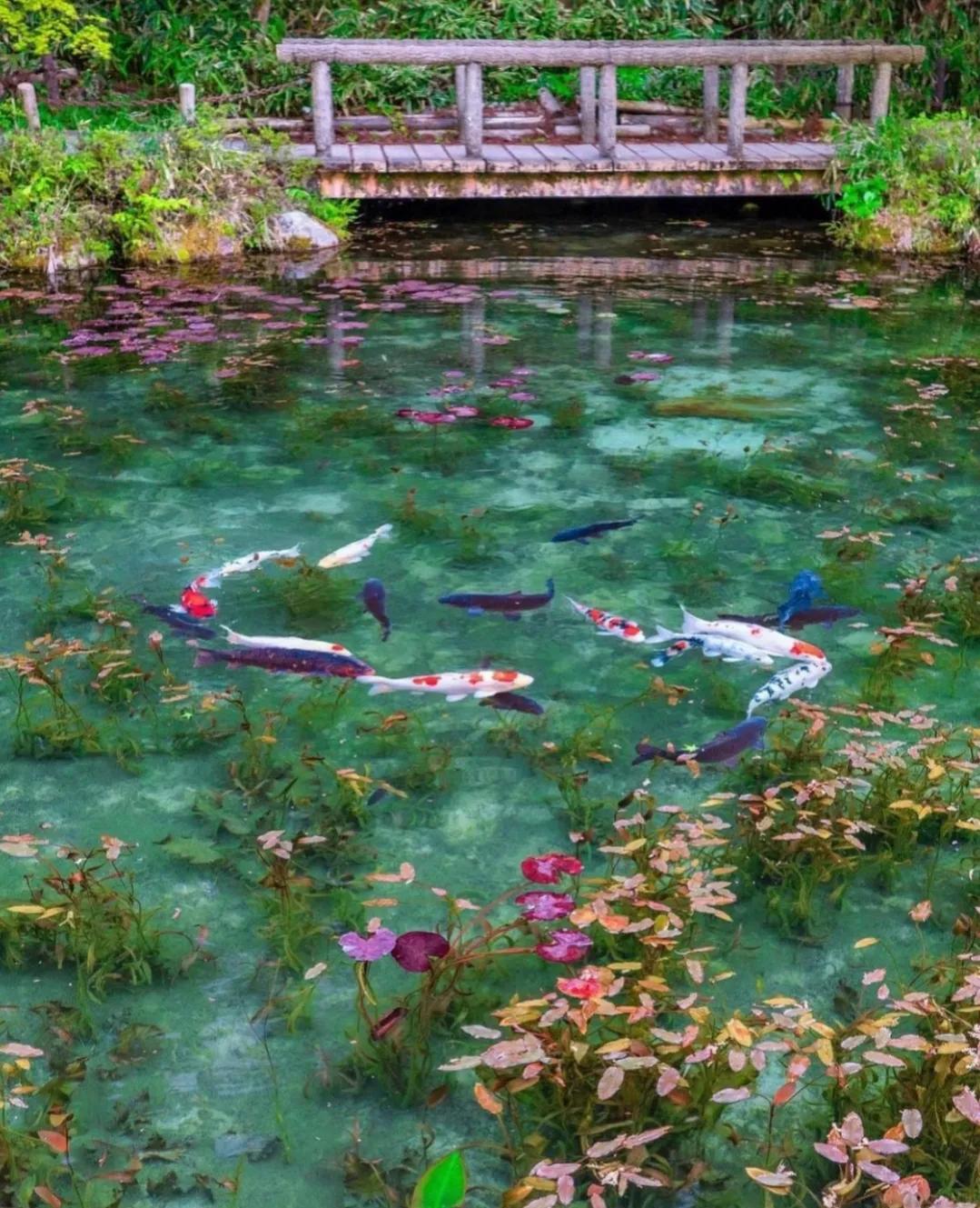 日本小众出行仿佛一脚进入梦幻油画世界！