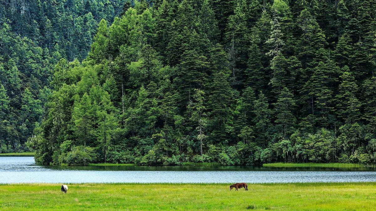 2022云南旅游景点攻略自由行,云南旅游玩得不过瘾