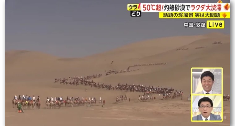 日本记者敦煌堵骆驼,日本记者直播连线冰墩墩